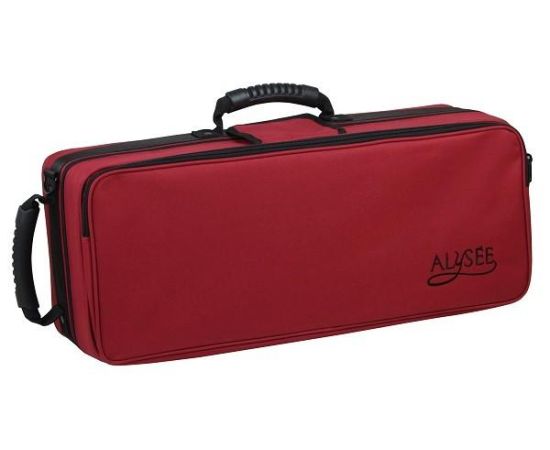 ALYSEE HARD CASE FOR TRUMPET